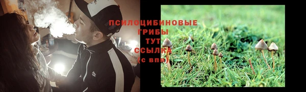 гашиш Абаза