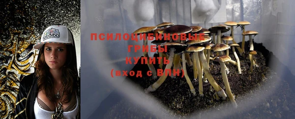 прущий лед Абдулино
