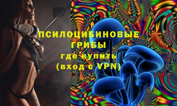 гашиш Абаза