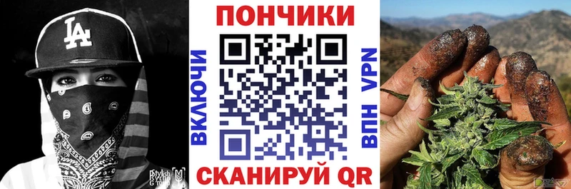 Конопля ГИДРОПОН  купить наркотик  Кирсанов 